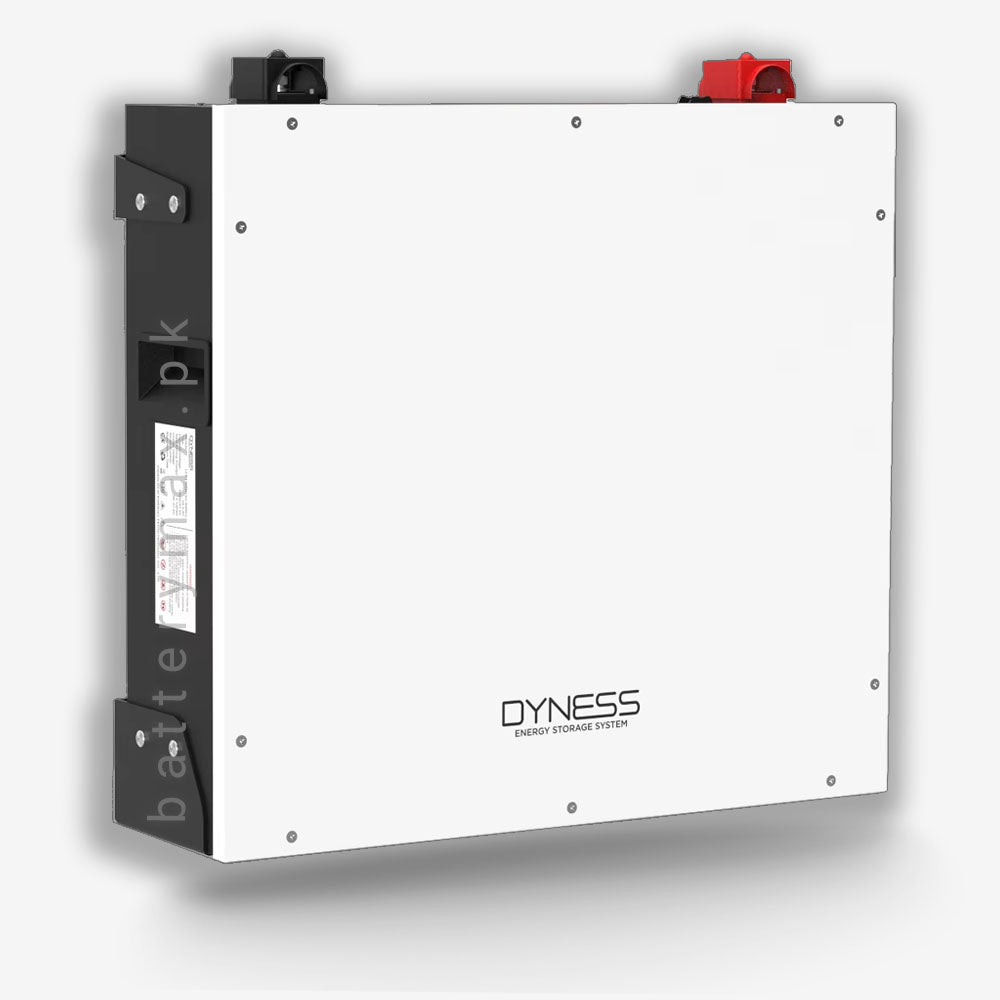 Dyness DL5.0C 51.2V 100Ah (5.1kWh) Lithium Battery